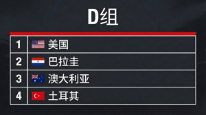 D组：美国、巴拉圭、澳大利亚、土耳其